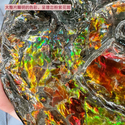 斑彩風水螺M20254(D3617)