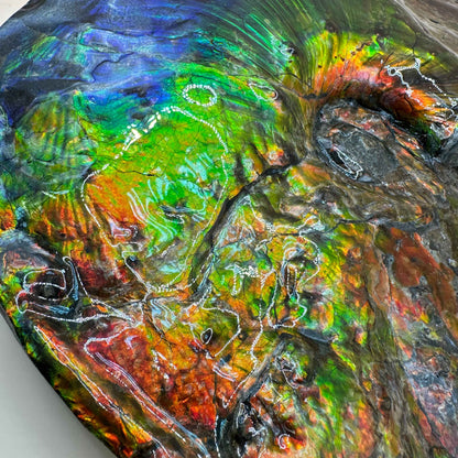 斑彩風水螺M20253