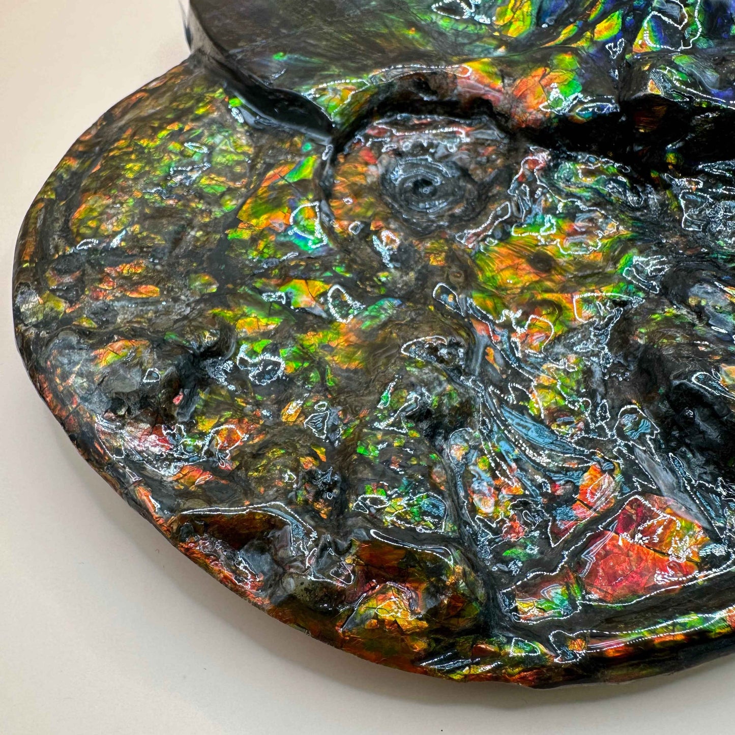 斑彩風水螺M20253