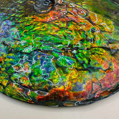 斑彩風水螺M20252(D365)