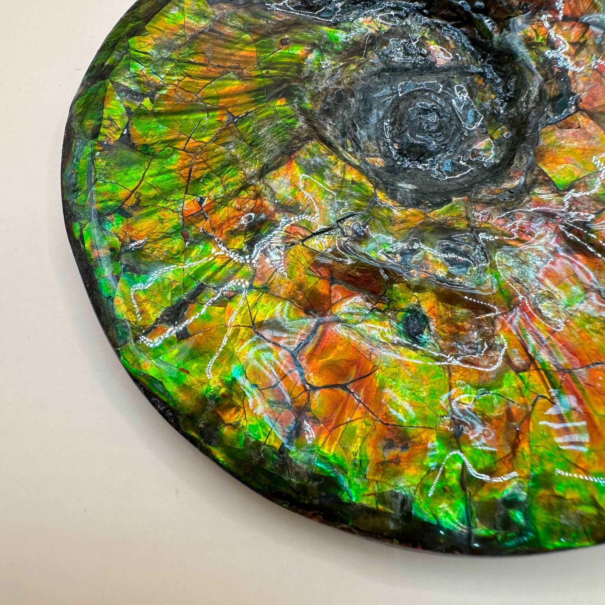 斑彩風水螺M20255(D314)