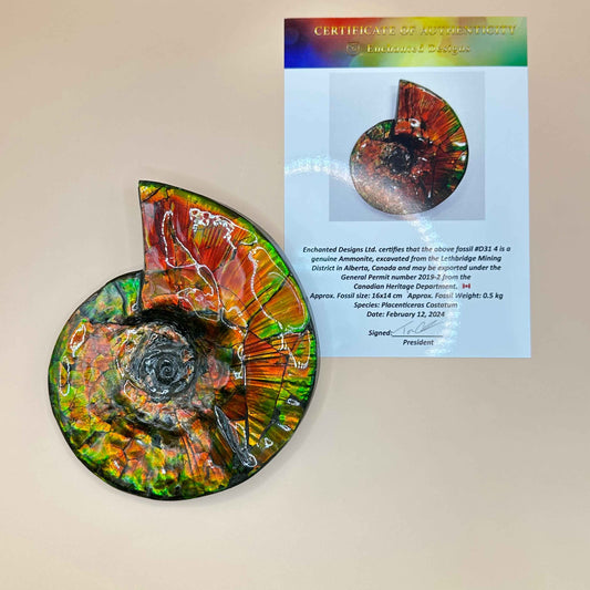 斑彩風水螺M20255(D314)