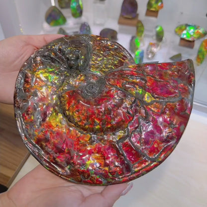 天然水晶 - 斑彩風水螺M20254(D3617)