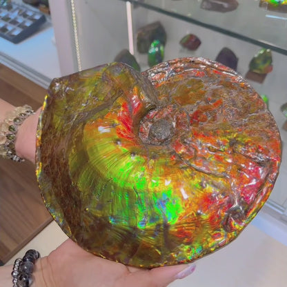 天然水晶 - 斑彩風水螺M20253